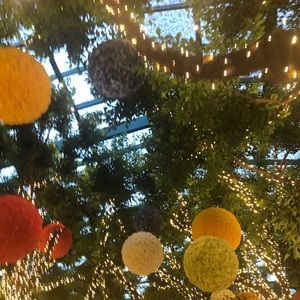 Meet your Posher, Zane